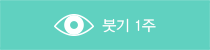 ハレは1週間