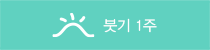 ハレは1週間